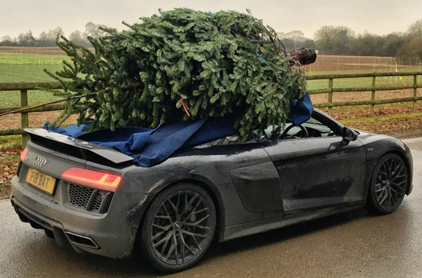 誰說超跑機能性不高？還可以開著Audi R8去買聖誕樹耶！