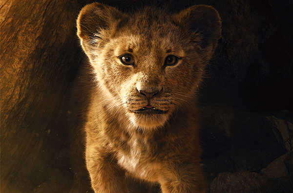 【MF放映室】擬真版《獅子王》重回大銀幕，最新預告正式曝光！
