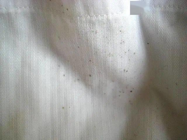 衣櫃爆炸還是不知道穿什麼?簡單3招打造型男「膠囊衣櫥」,一穿就是好幾年不敗!